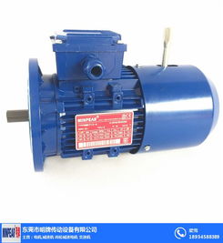 單相異步電動(dòng)機(jī)接線圖 揭陽(yáng)單相異步電動(dòng)機(jī) 明牌傳動(dòng)工廠