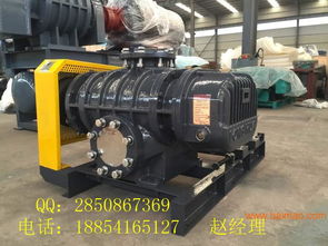 供應(yīng)沼氣羅茨鼓風(fēng)機(jī) 價(jià)格選型 廠家直銷,供應(yīng)沼氣羅茨鼓風(fēng)機(jī) 價(jià)格選型 廠家直銷生產(chǎn)廠家,供應(yīng)沼氣羅茨鼓風(fēng)機(jī) 價(jià)格選型 廠家直銷價(jià)格