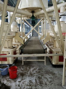 【武漢的木屑顆粒機(jī)】-